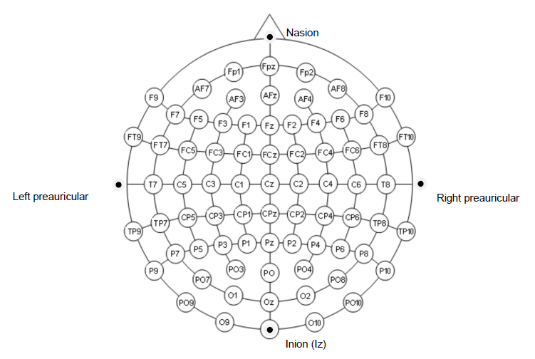 Mount eeg 10 20 system.png
